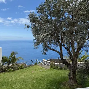 cozy-sea-view-house-faja-da-ovelha.madeira-islandshotels.com/